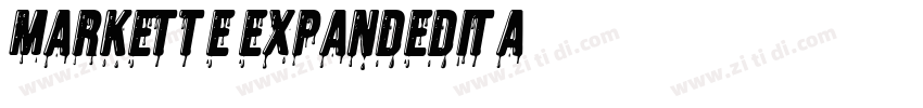 Markette ExpandedIta字体转换